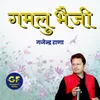About Gamlu Bhaiji Song